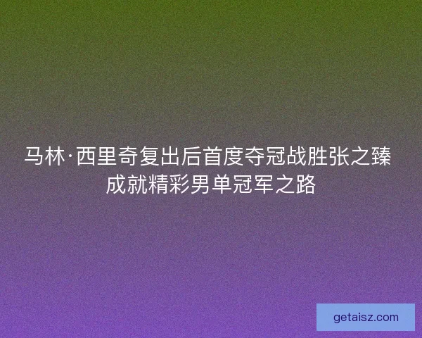 马林·西里奇复出后首度夺冠战胜张之臻 成就精彩男单冠军之路 马林·西里奇复出后首度夺冠战胜张之臻 成就精彩男单冠军之路